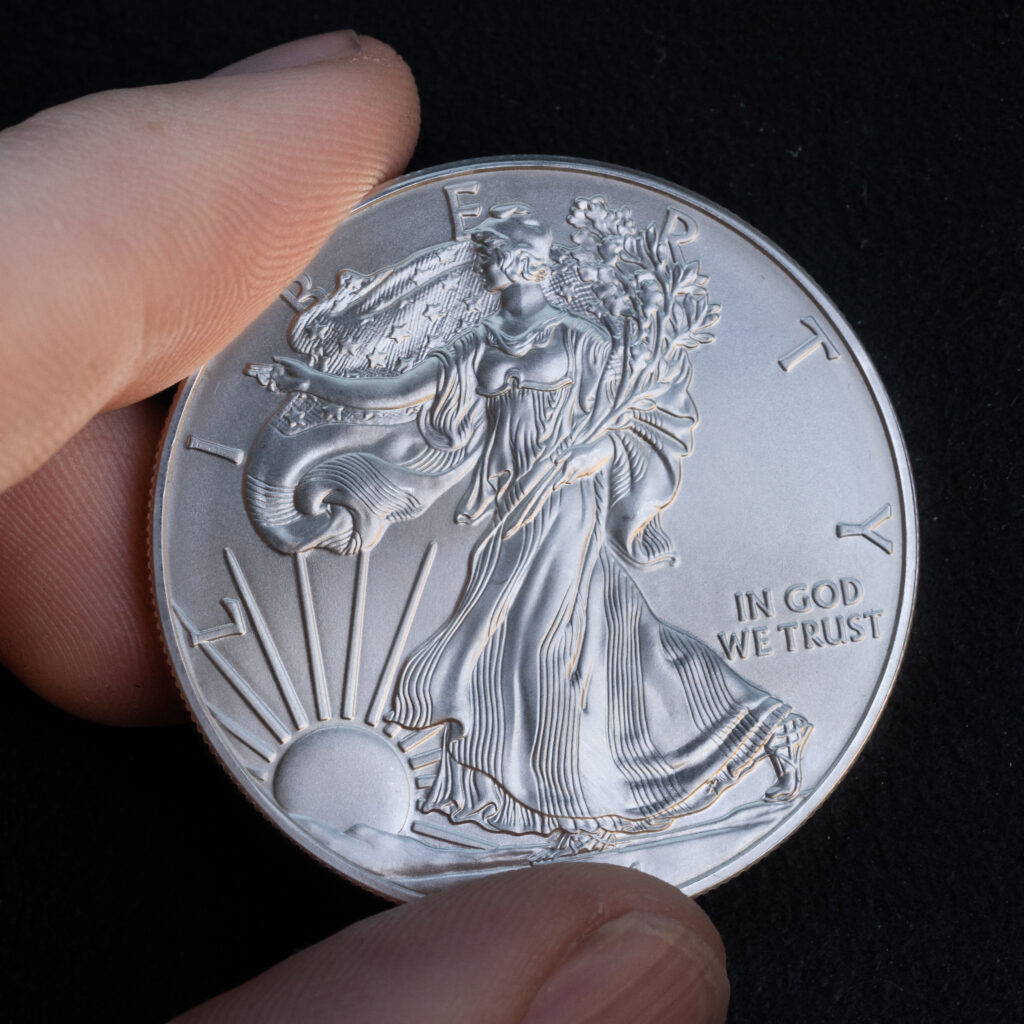 Silver American Eagle 1